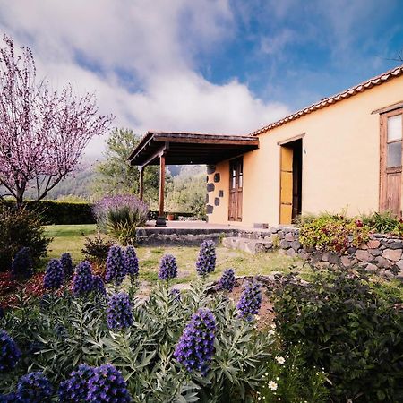 Casa Elena Villa Tijarafe Kültér fotó