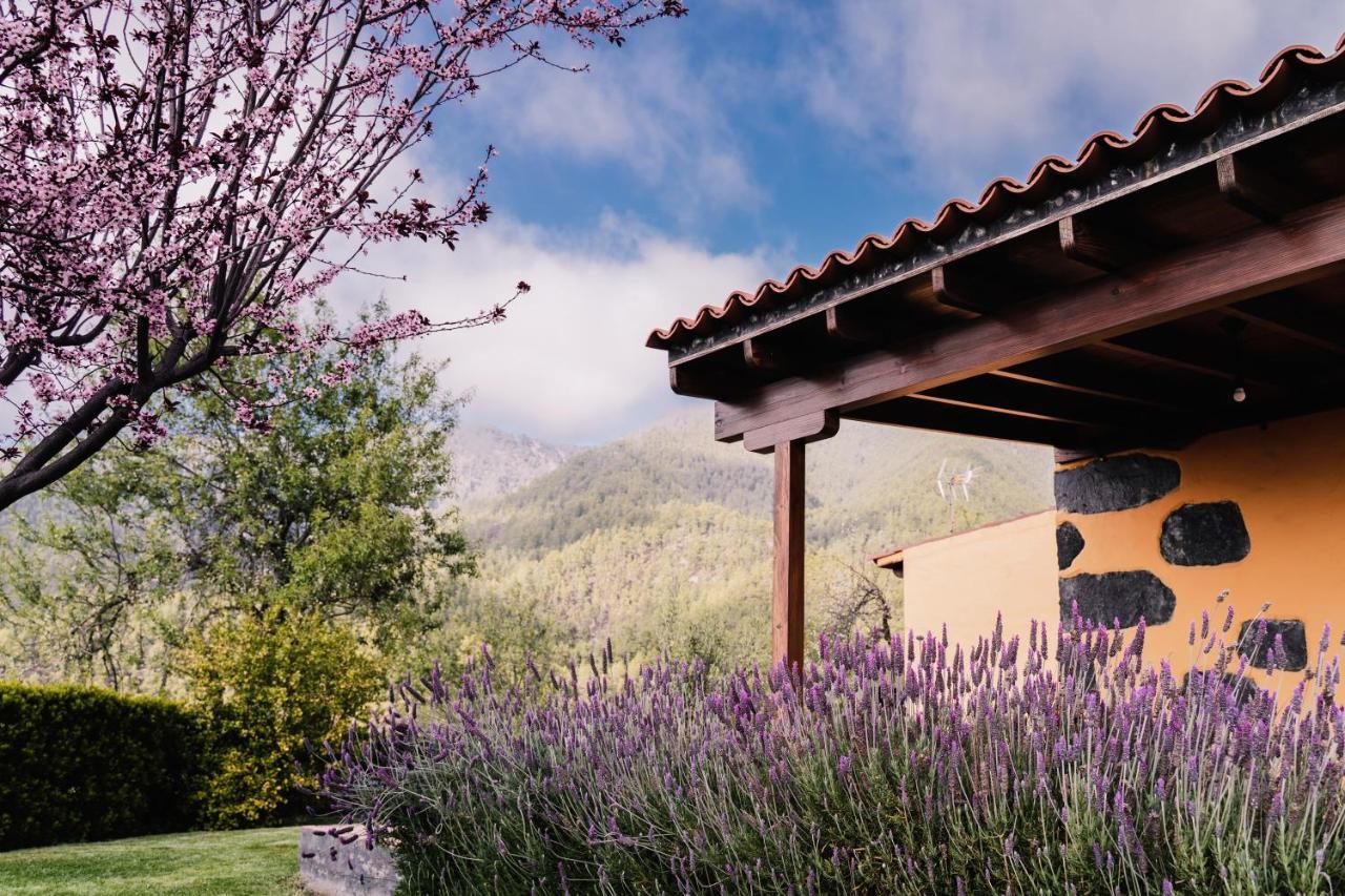 Casa Elena Villa Tijarafe Kültér fotó